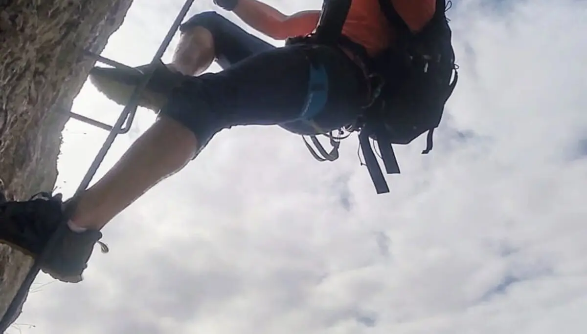 © Daniela Utzschmid, Roland Biro, Franz Huber, Norbert Wurstbauer, Sonja Schnellinger