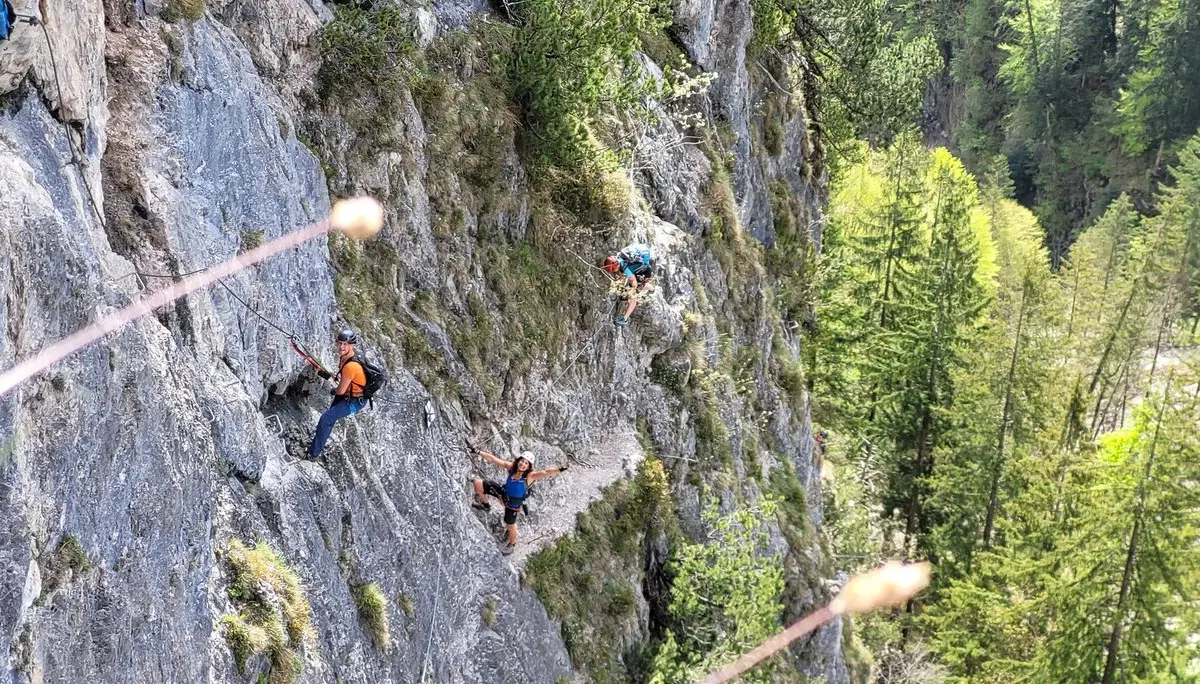 © Daniela Utzschmid, Roland Biro, Franz Huber, Norbert Wurstbauer, Sonja Schnellinger