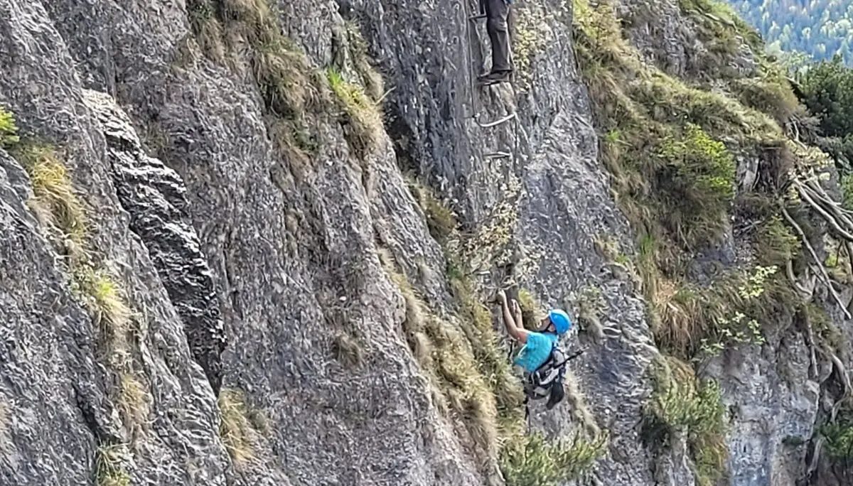 © Daniela Utzschmid, Roland Biro, Franz Huber, Norbert Wurstbauer, Sonja Schnellinger