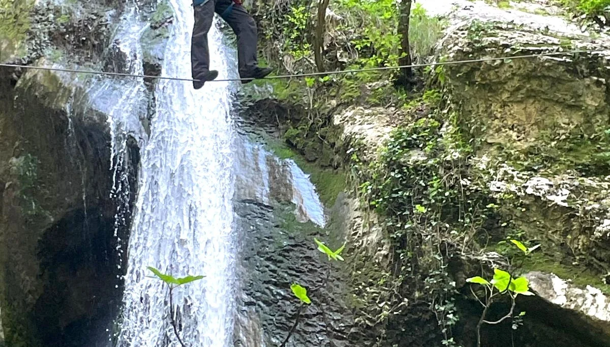 © Roland Biro, Dominik Müller, Wolfgang Müller, Helmut Kramer, Norbert Wurstbauer