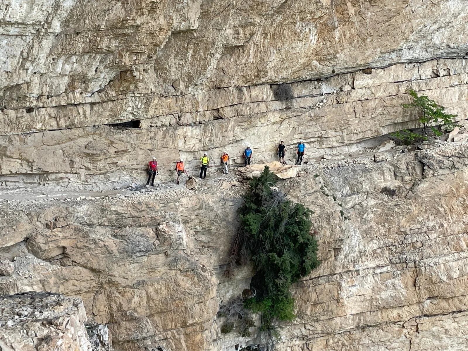 © Roland Biro, Dominik Müller, Wolfgang Müller, Helmut Kramer, Norbert Wurstbauer