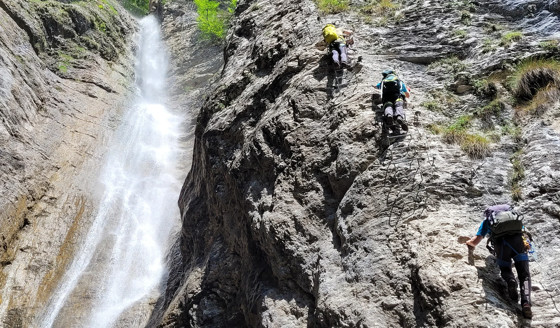 © Roland Biro, Dominik Müller, Wolfgang Müller, Helmut Kramer, Norbert Wurstbauer