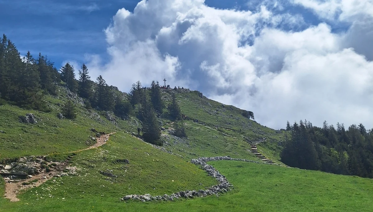 © Günter Honsowitz