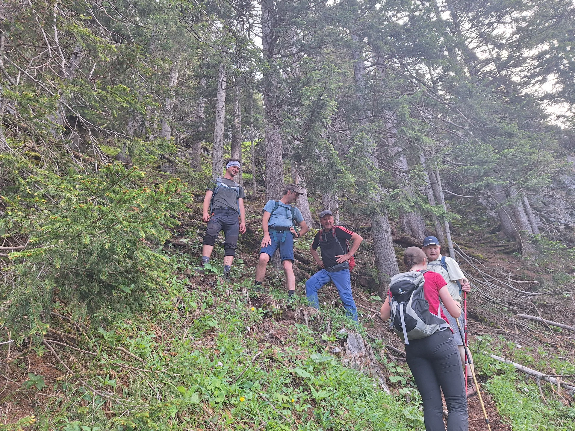 © Günter Honsowitz