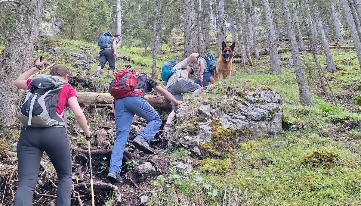 © Günter Honsowitz