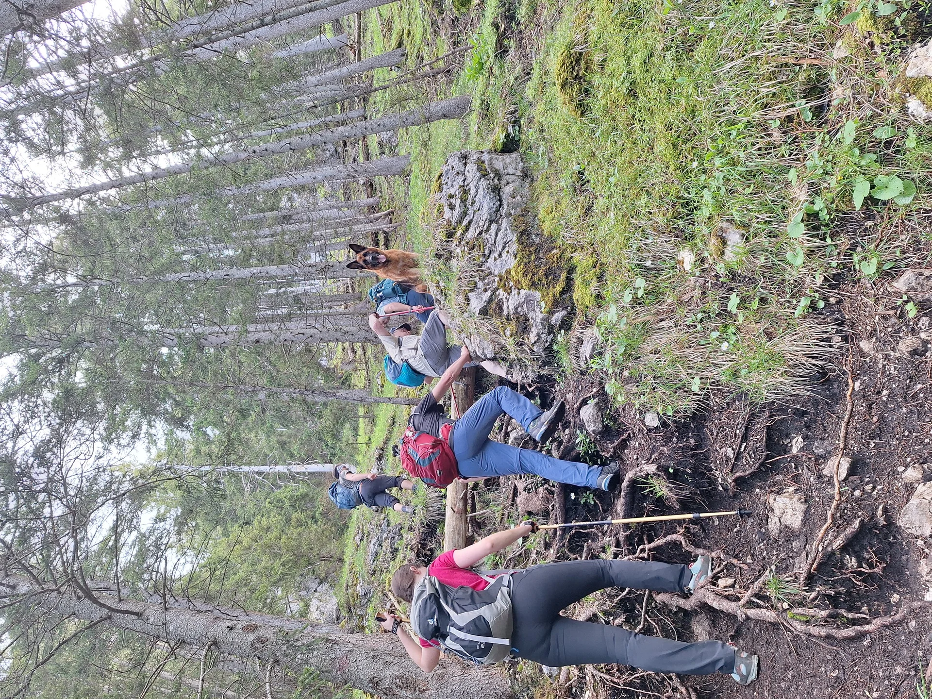 © Günter Honsowitz