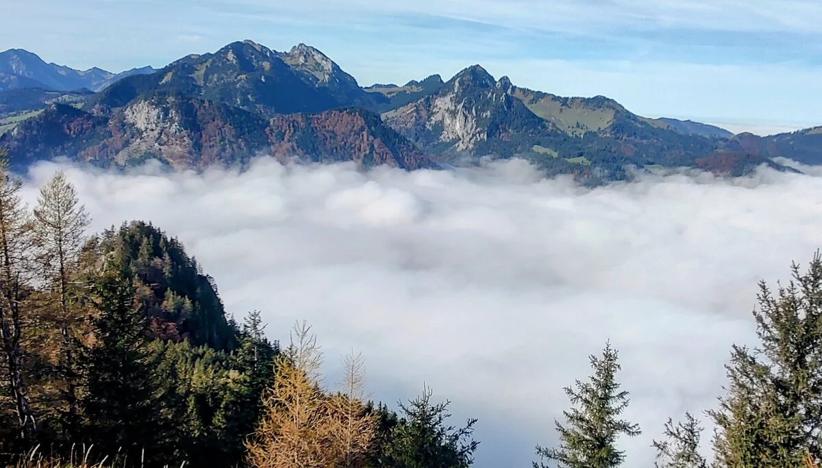 © Daniela Utzschmid