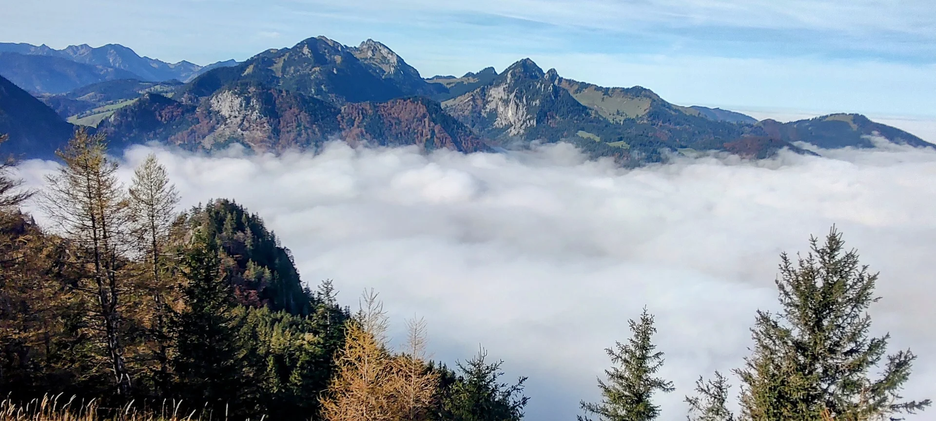 © Daniela Utzschmid