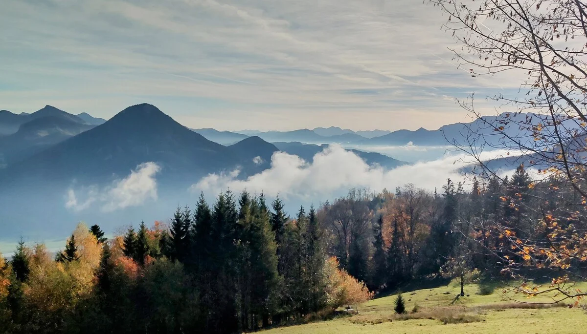 © Daniela Utzschmid