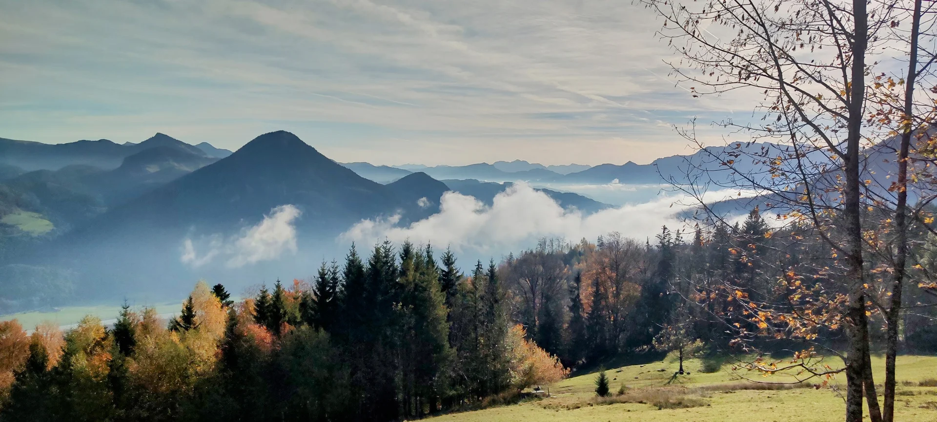 © Daniela Utzschmid