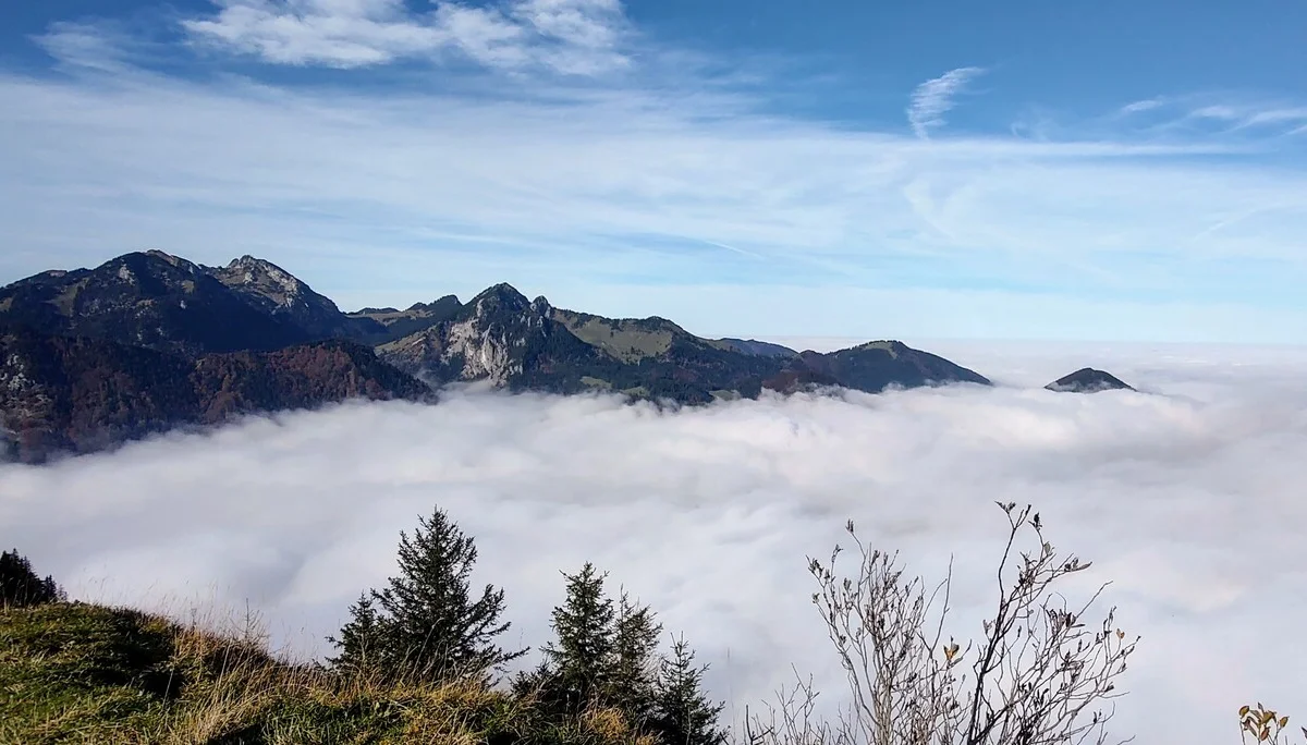 © Daniela Utzschmid