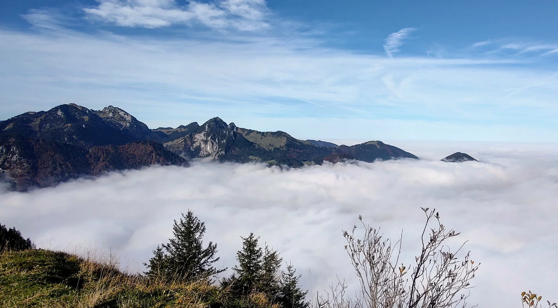 © Daniela Utzschmid