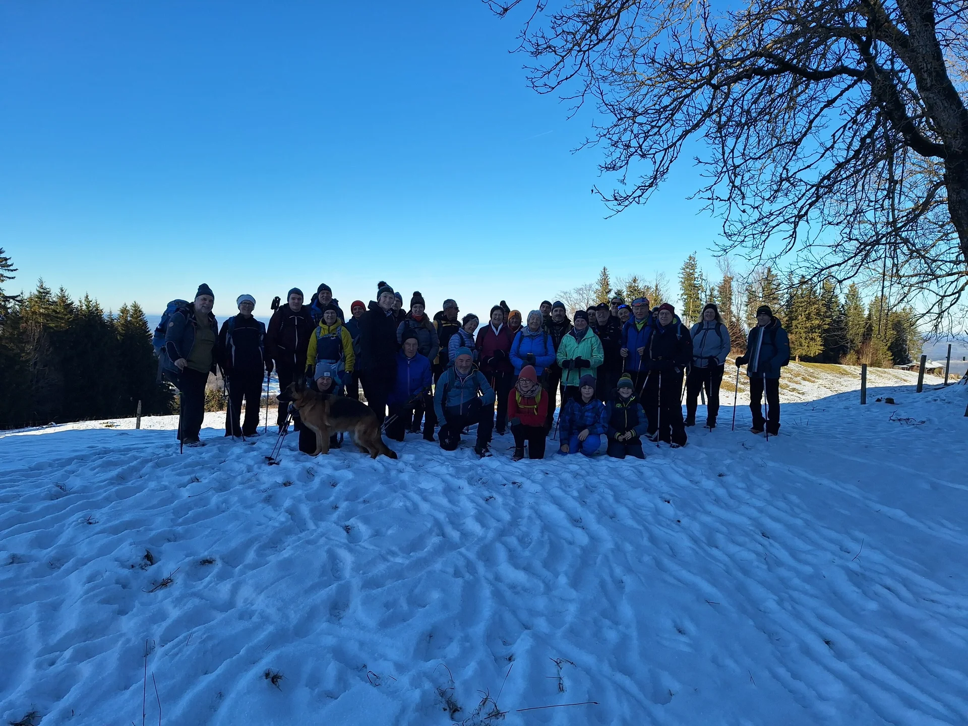 © Anneliese Starflinger, Hans Gruber, Martin Aimer und Günter Honsowitz