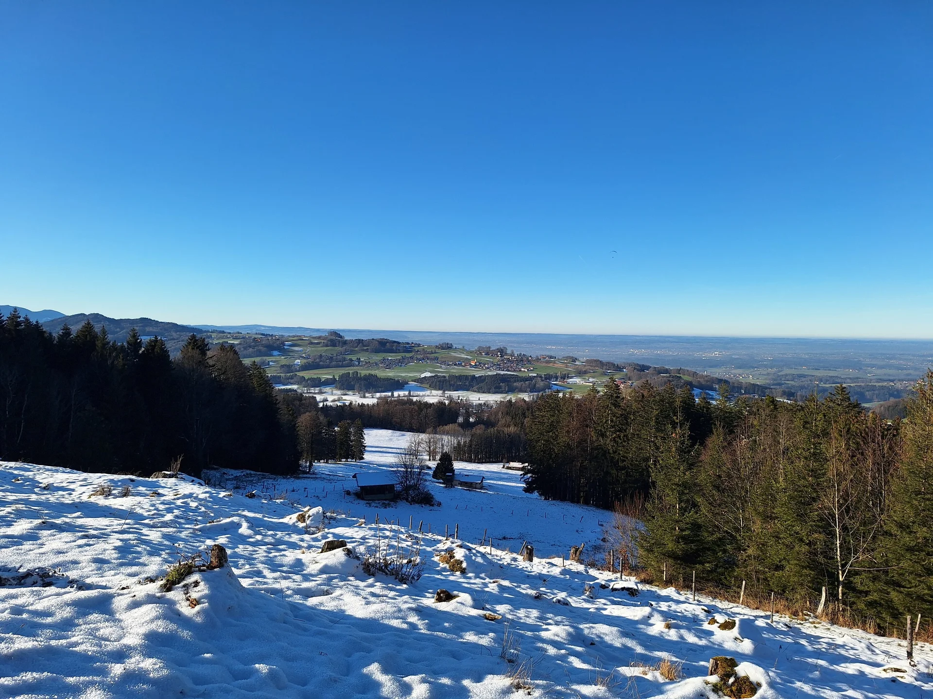 © Anneliese Starflinger, Hans Gruber, Martin Aimer und Günter Honsowitz