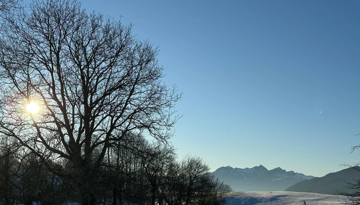 © Anneliese Starflinger, Hans Gruber, Martin Aimer und Günter Honsowitz