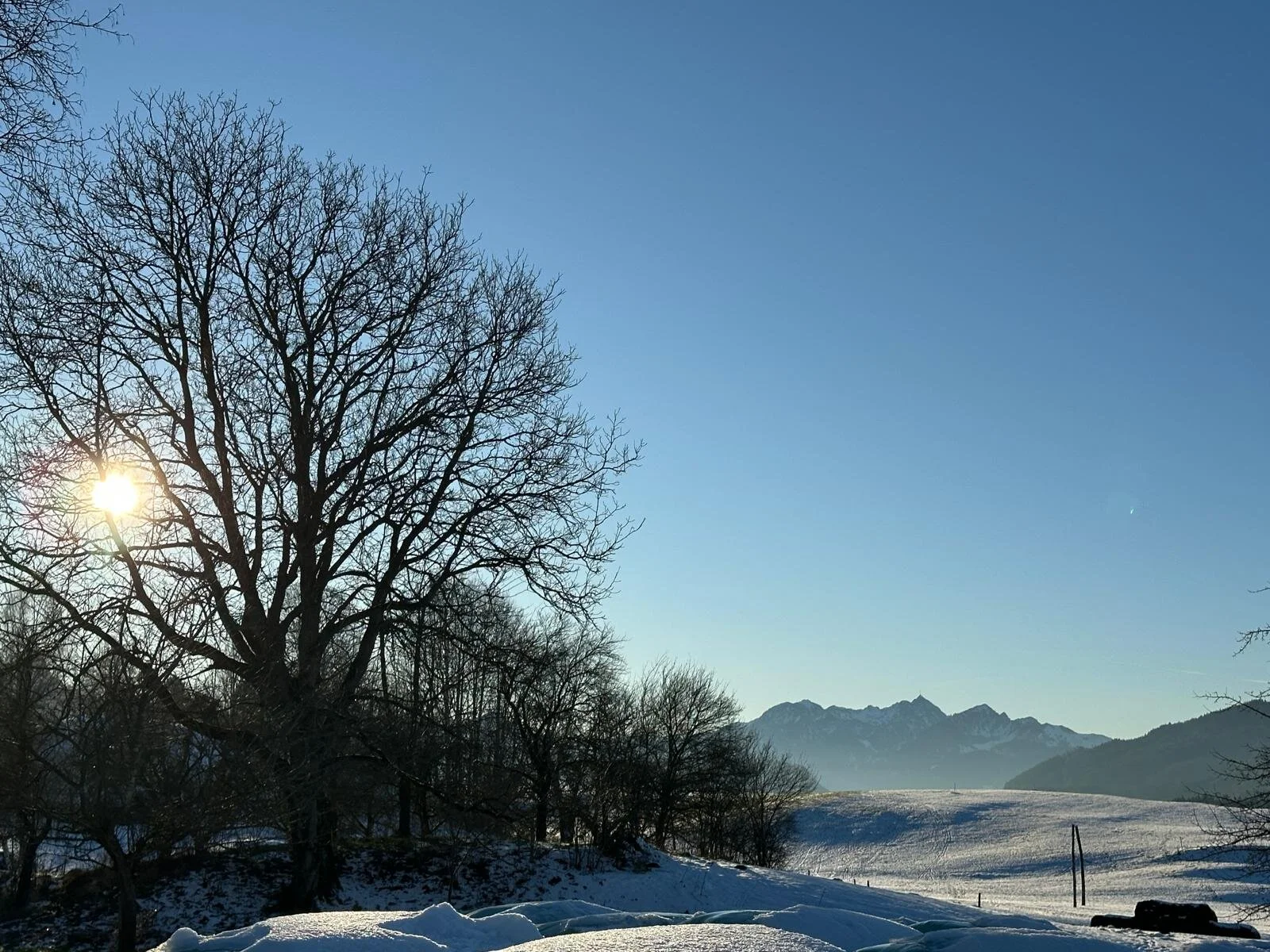 © Anneliese Starflinger, Hans Gruber, Martin Aimer und Günter Honsowitz