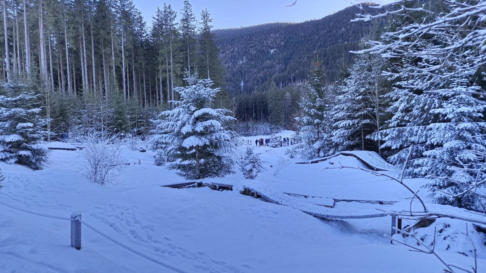 © Anneliese Starflinger, Hans Gruber, Martin Aimer und Günter Honsowitz