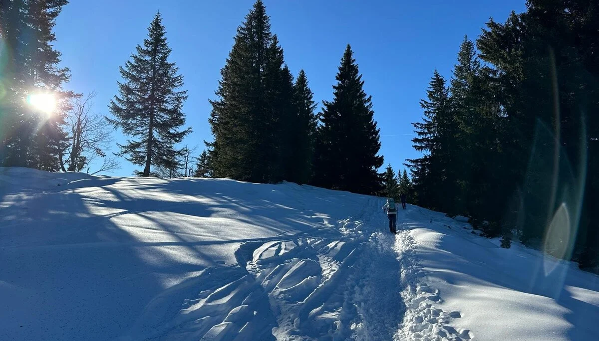 © Anneliese Starflinger, Hans Gruber, Martin Aimer und Günter Honsowitz