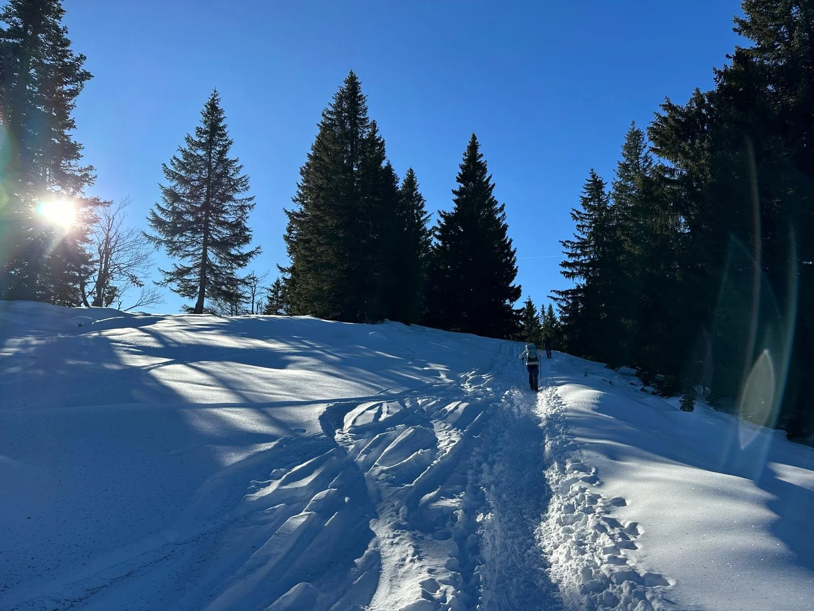 © Anneliese Starflinger, Hans Gruber, Martin Aimer und Günter Honsowitz