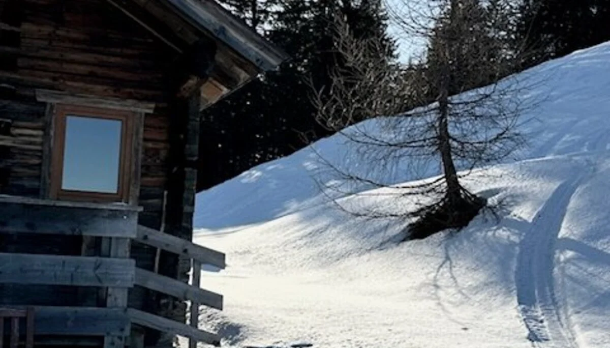 © Anneliese Starflinger 