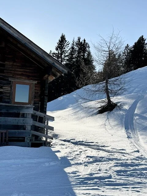 © Anneliese Starflinger 