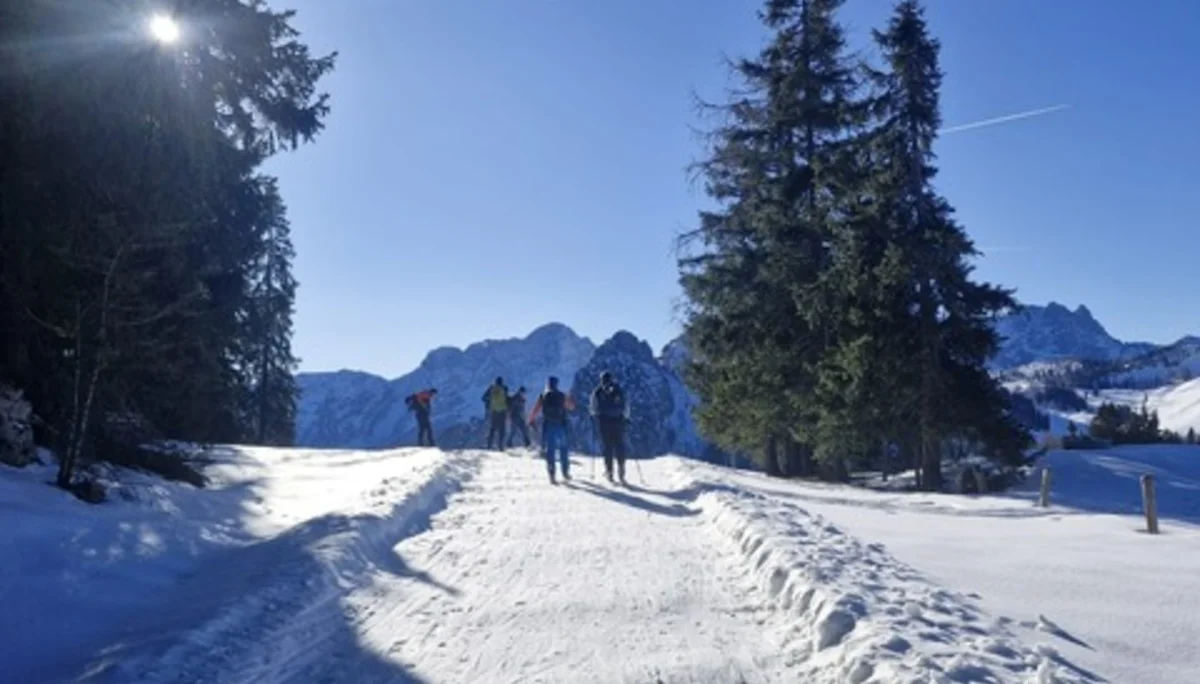 © Anneliese Starflinger 