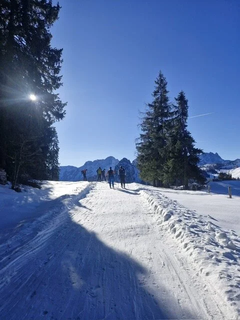 © Anneliese Starflinger 