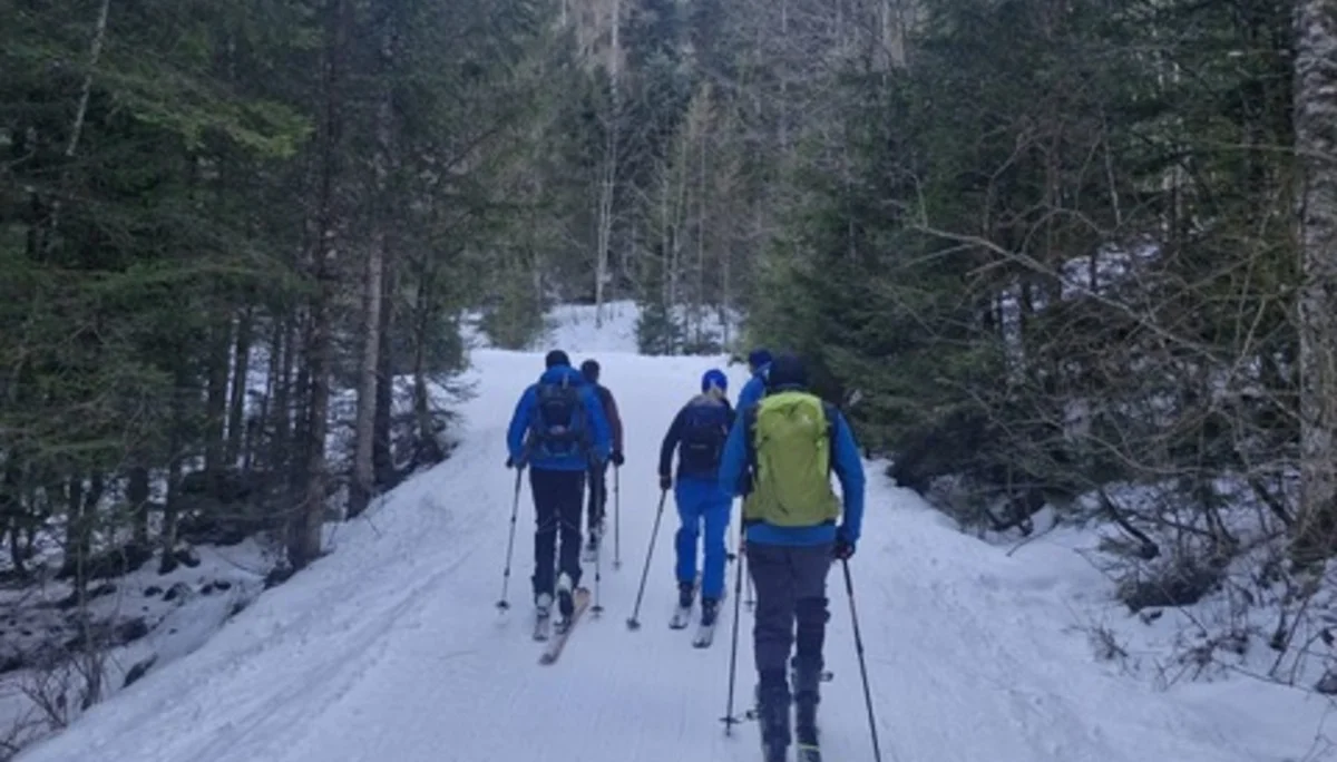 © Anneliese Starflinger 