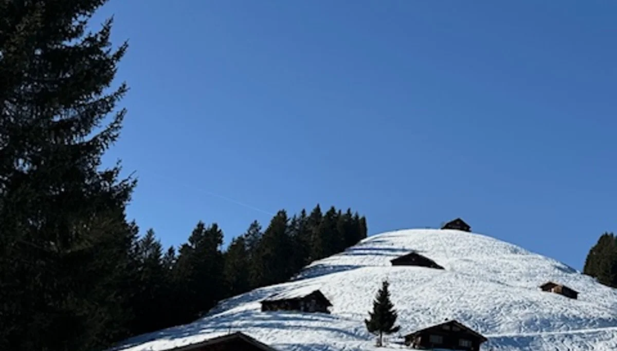 © Anneliese Starflinger 