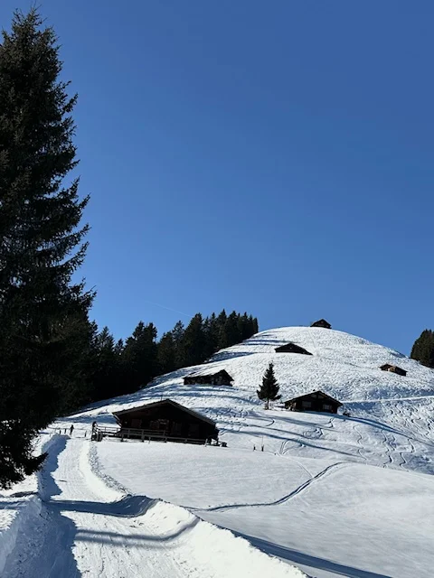 © Anneliese Starflinger 