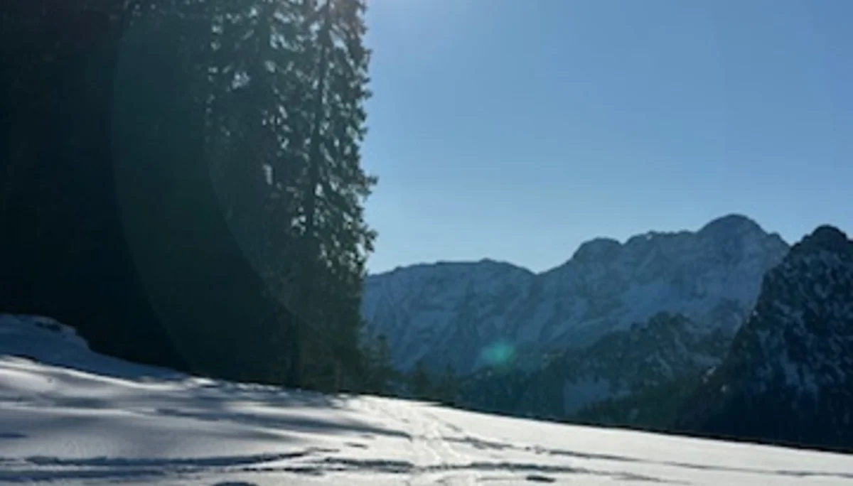 © Anneliese Starflinger 