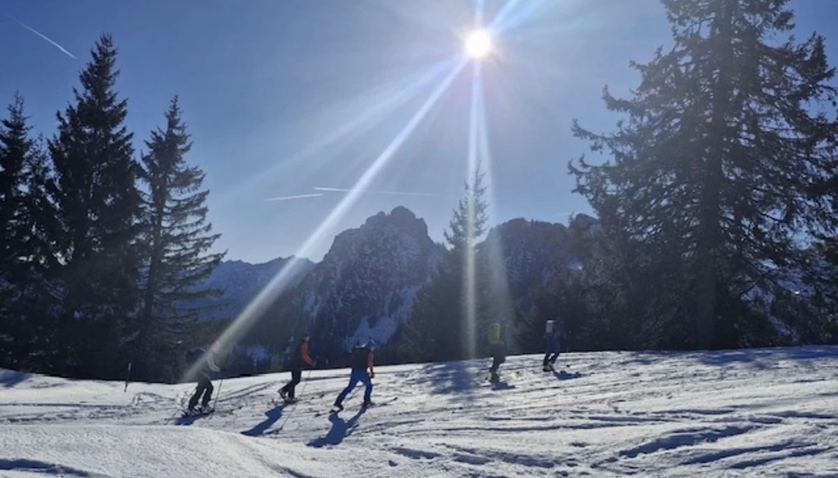 © Anneliese Starflinger 