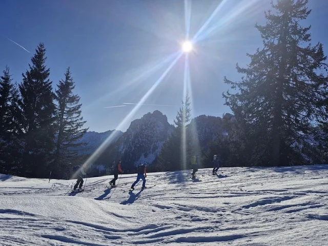 © Anneliese Starflinger 