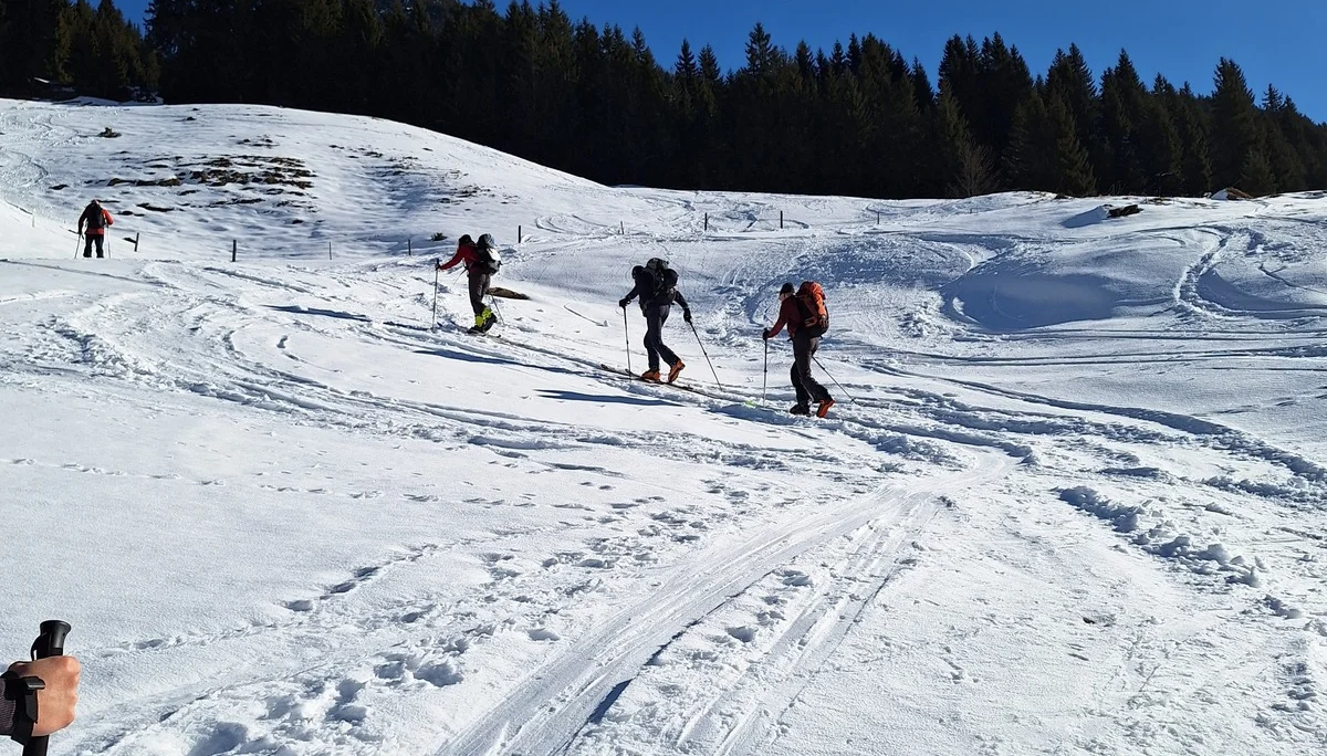 © Günter Honsowitz