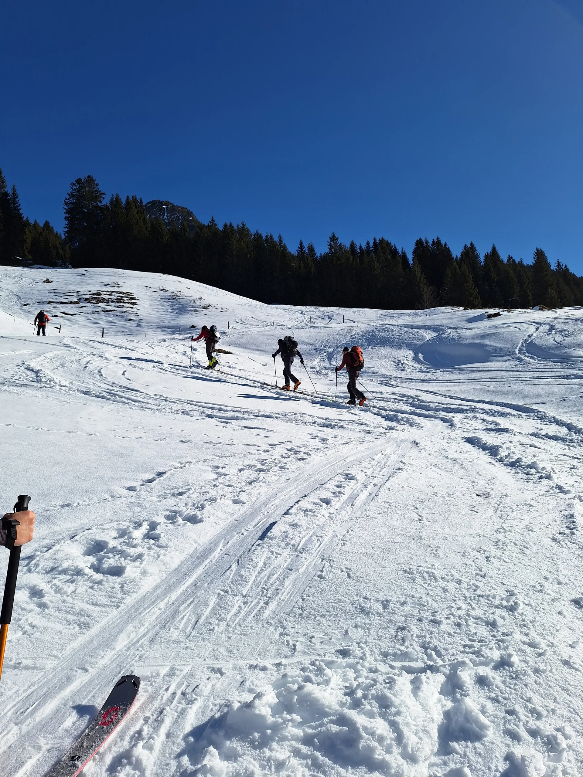 © Günter Honsowitz