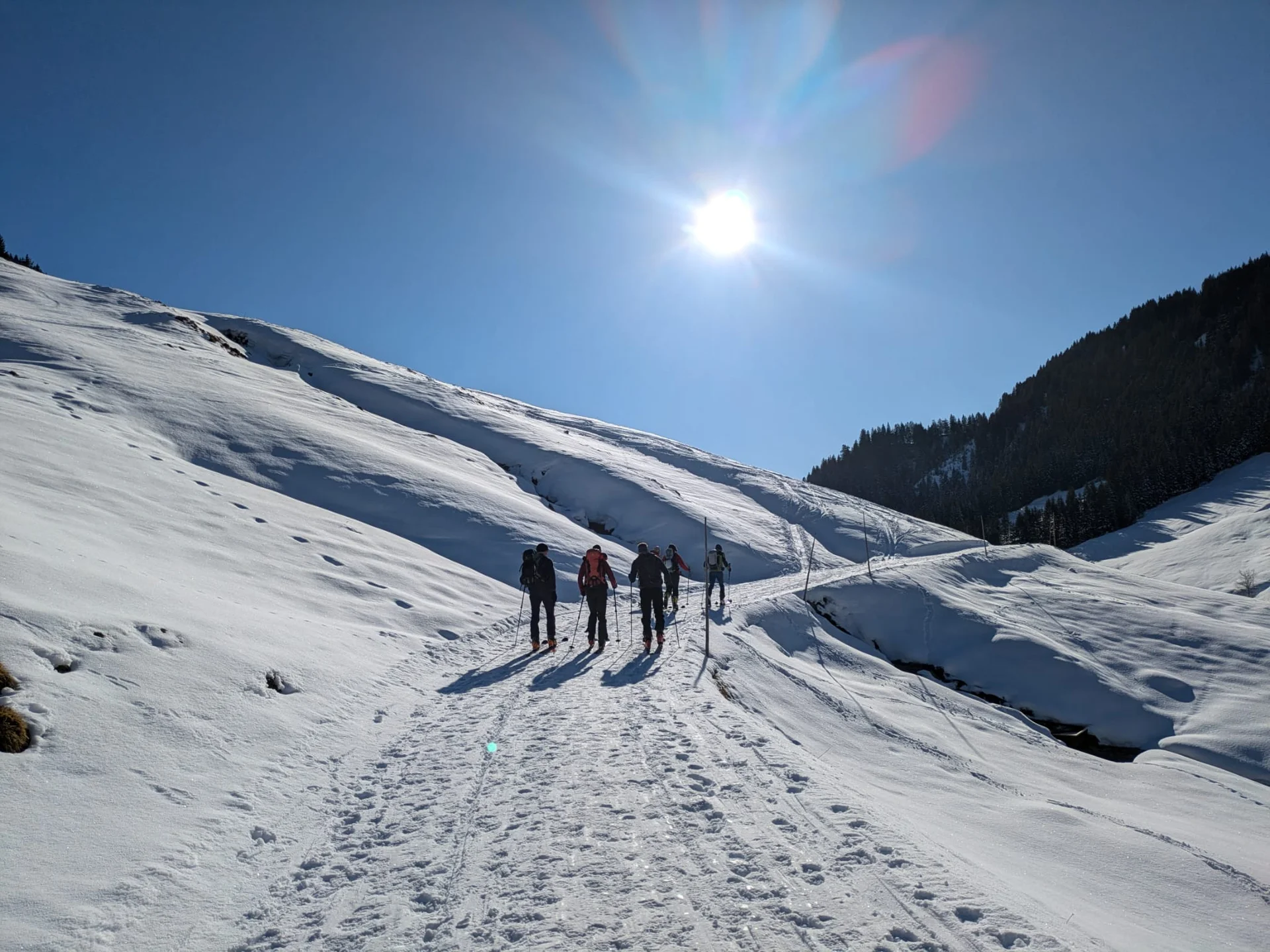 © Julia Pitschender