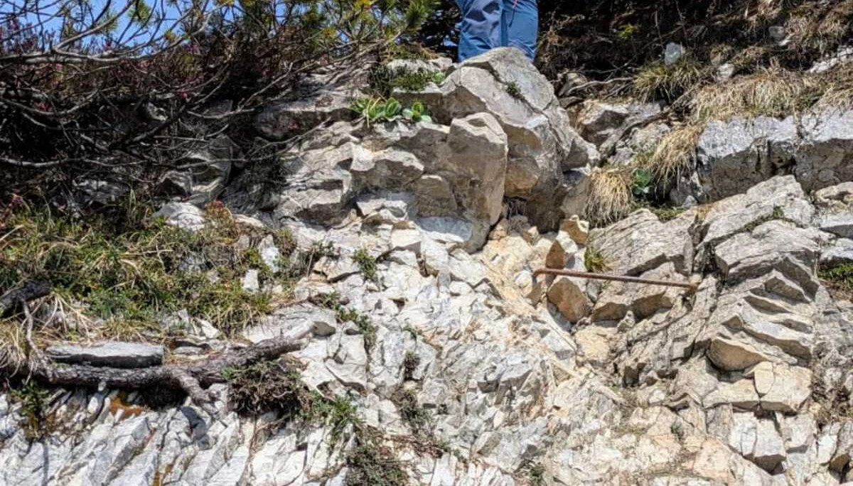 © Ludwig & Maria Doriat