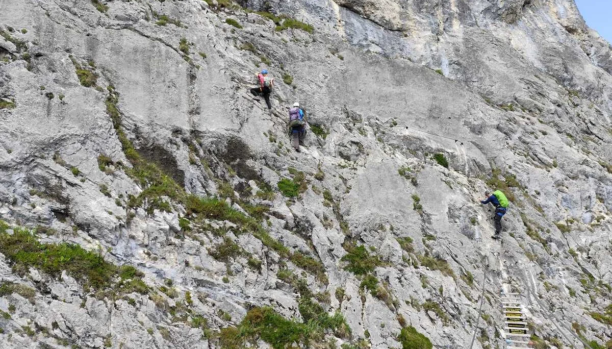 © Ludwig & Maria Doriat