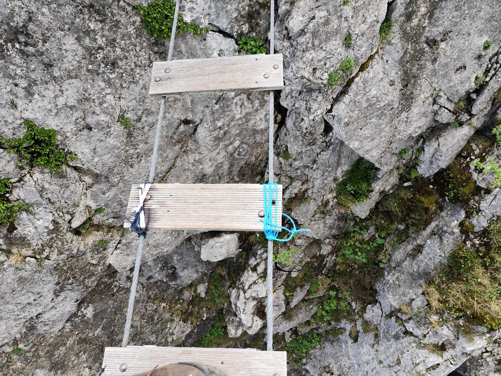 © Ludwig & Maria Doriat