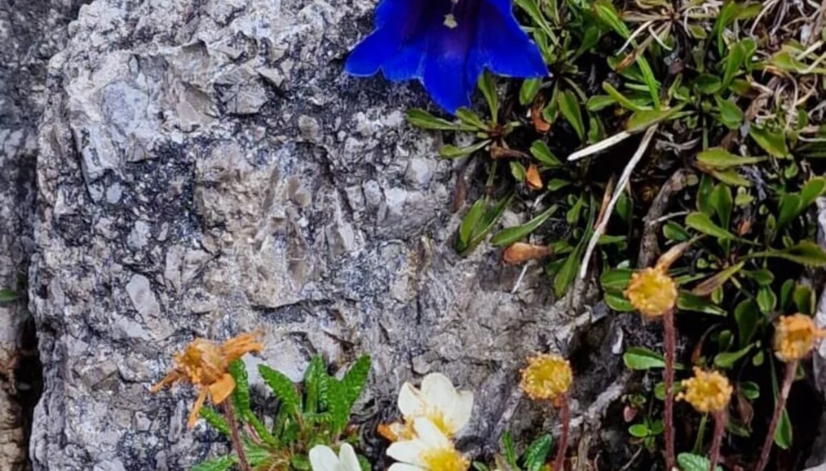 © DAV Sektion Rottal Neumarkt-St. Veit