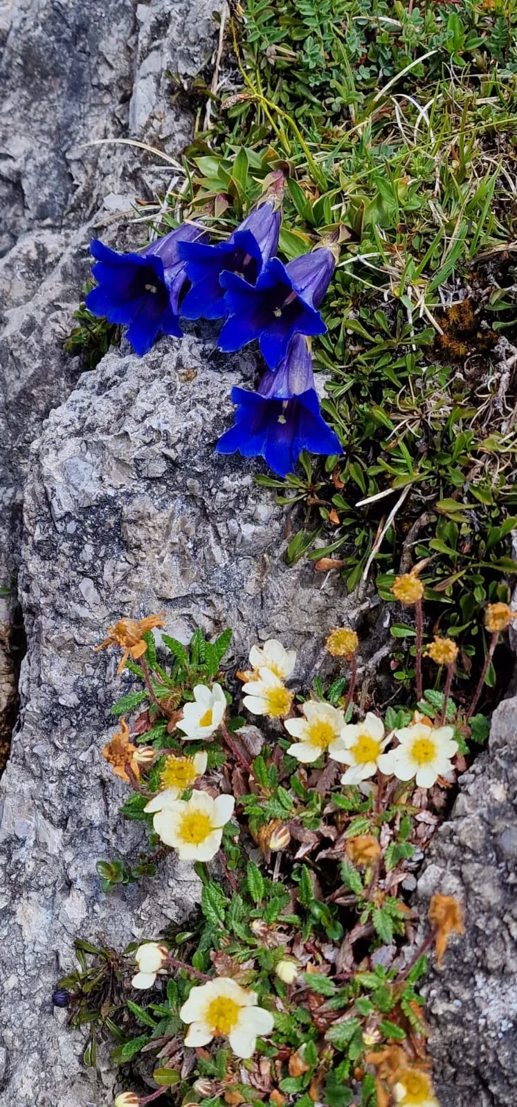 © DAV Sektion Rottal Neumarkt-St. Veit