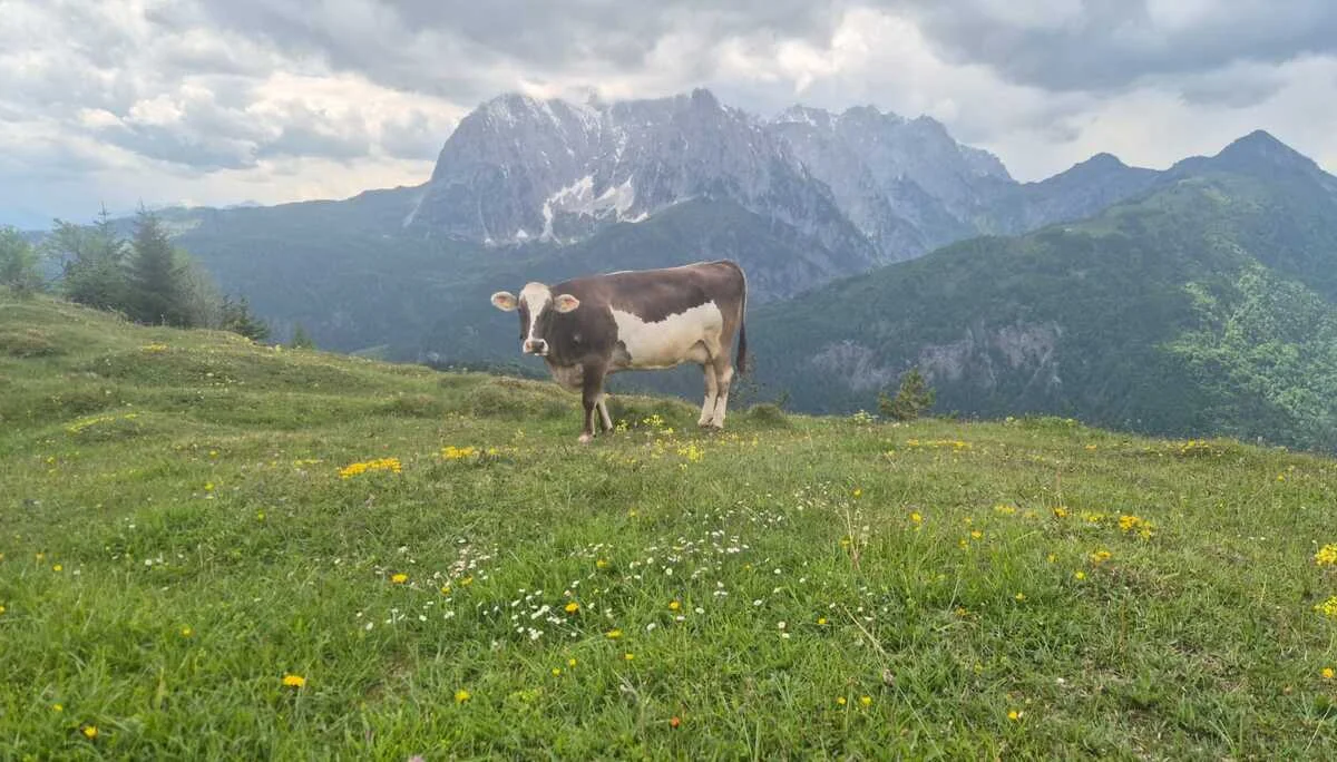 © DAV Sektion Rottal Neumarkt-St. Veit