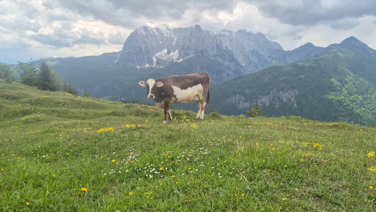 © DAV Sektion Rottal Neumarkt-St. Veit