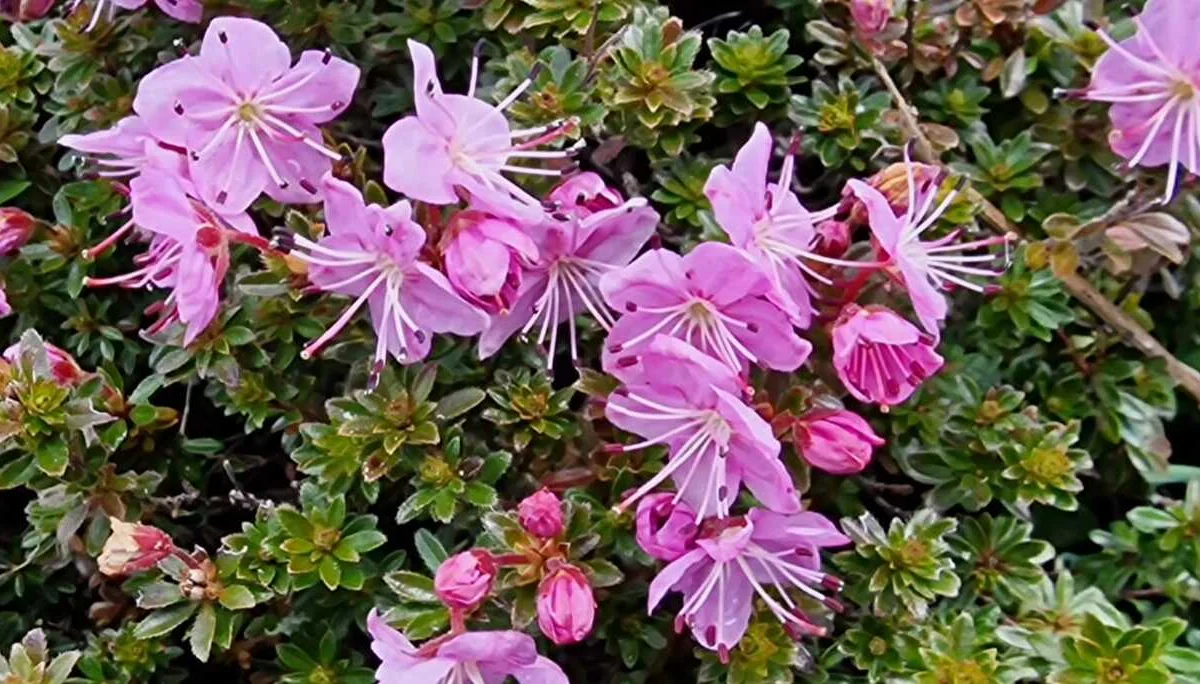 © DAV Sektion Rottal Neumarkt-St. Veit