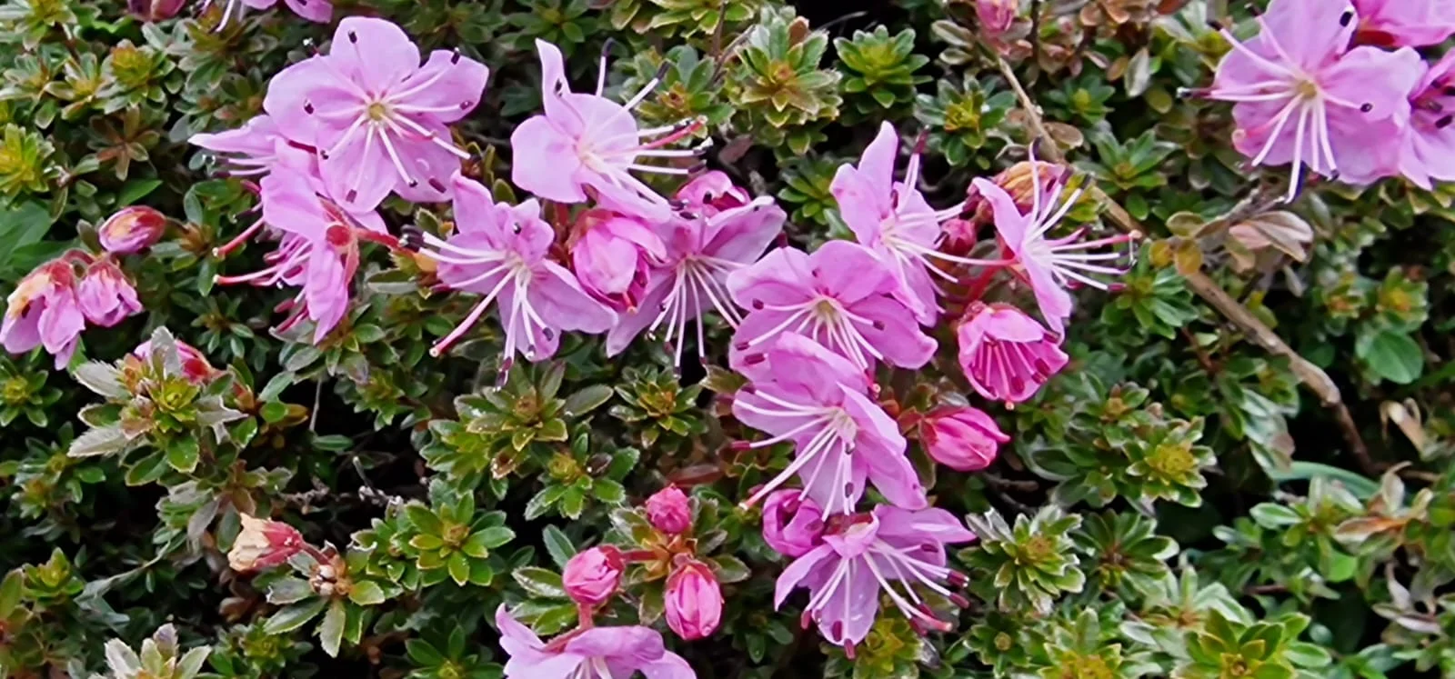 © DAV Sektion Rottal Neumarkt-St. Veit