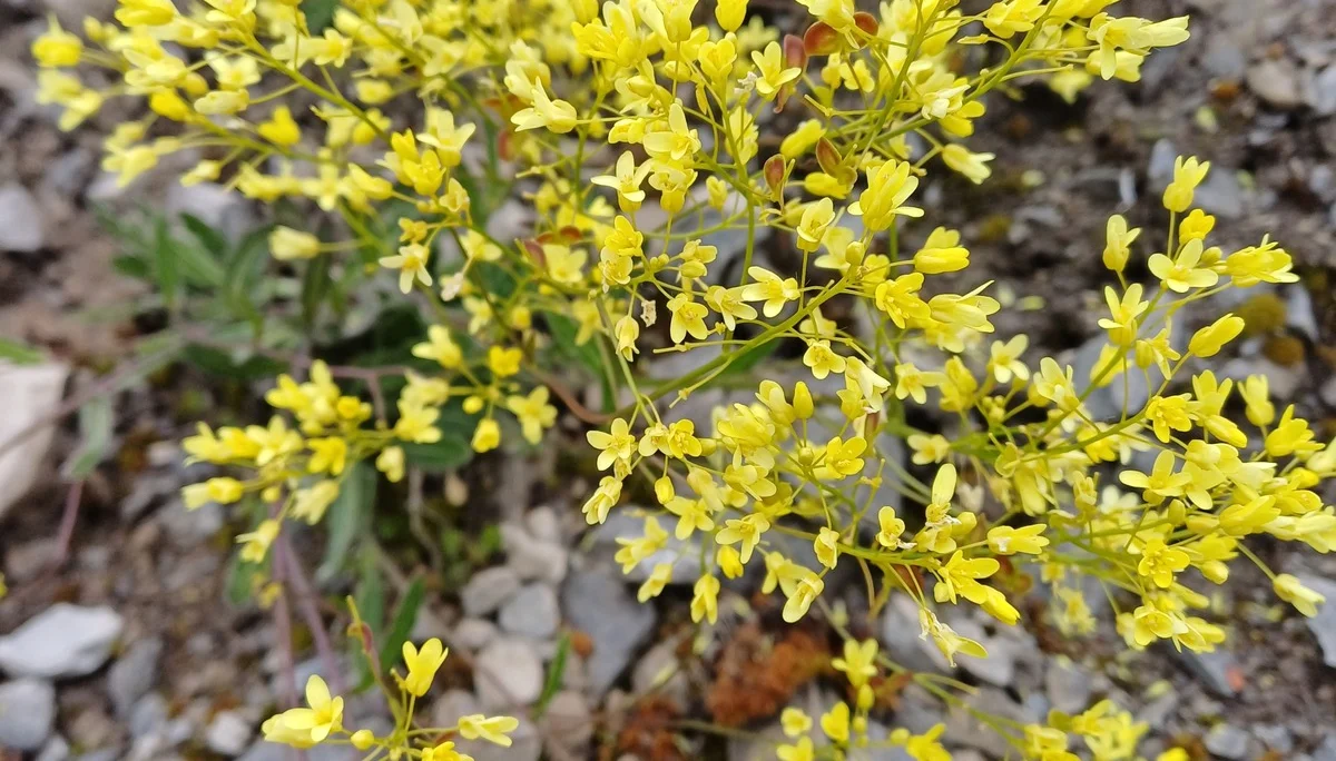 © DAV Sektion Rottal Neumarkt-St. Veit