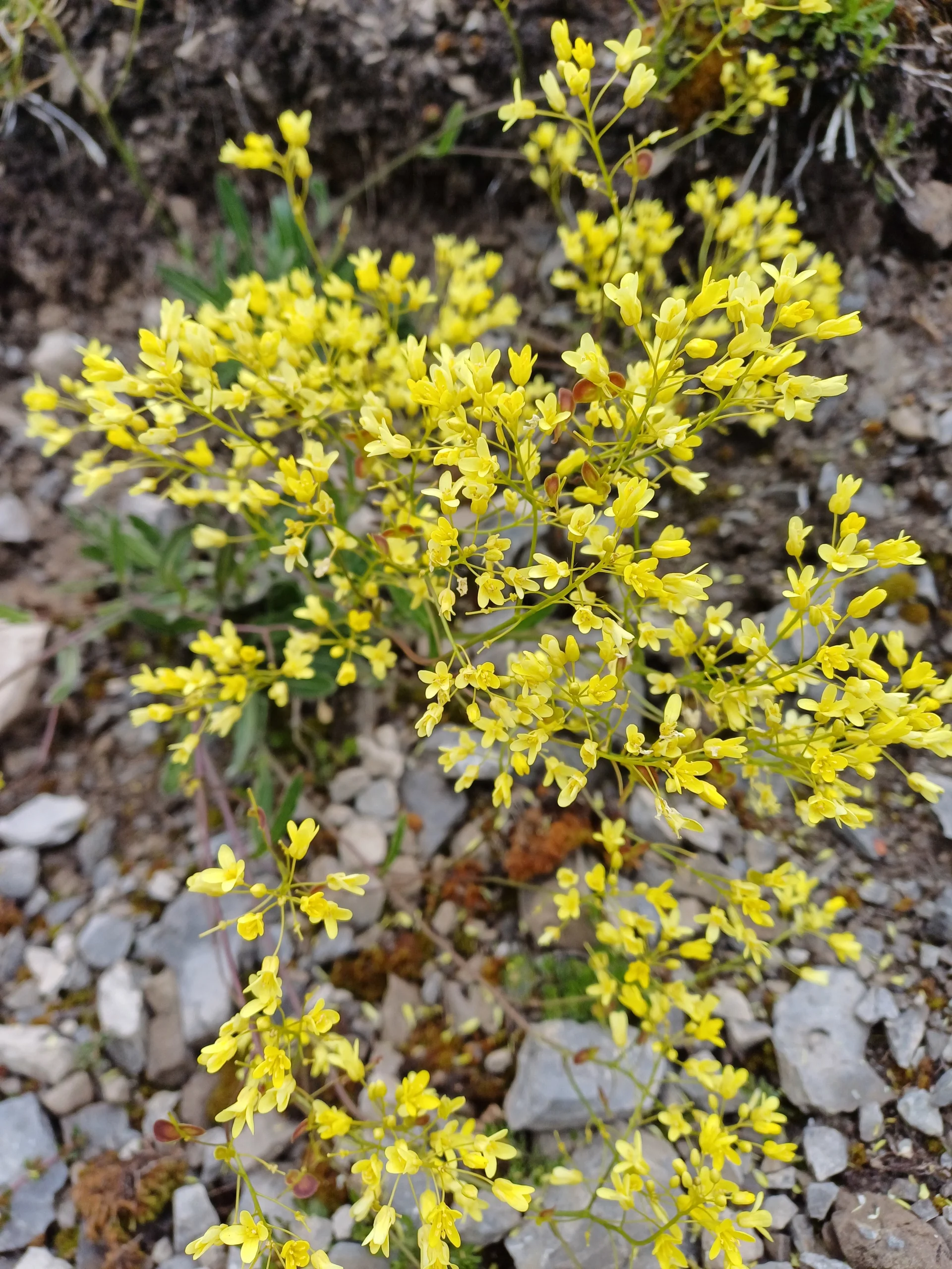 © DAV Sektion Rottal Neumarkt-St. Veit