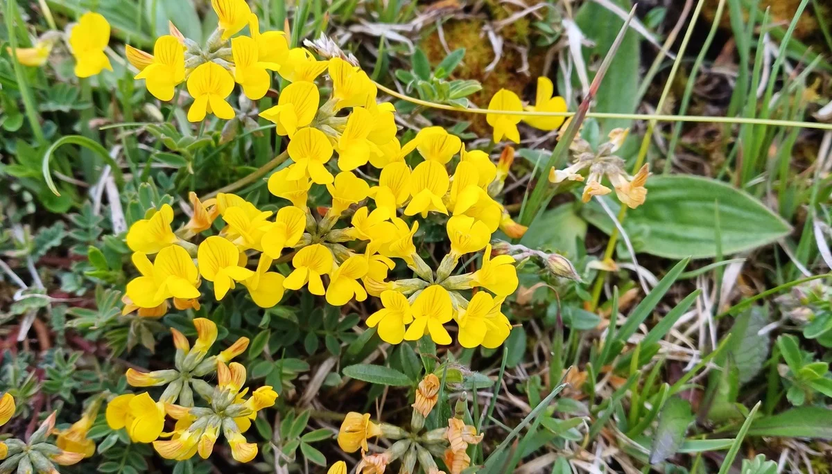 © DAV Sektion Rottal Neumarkt-St. Veit