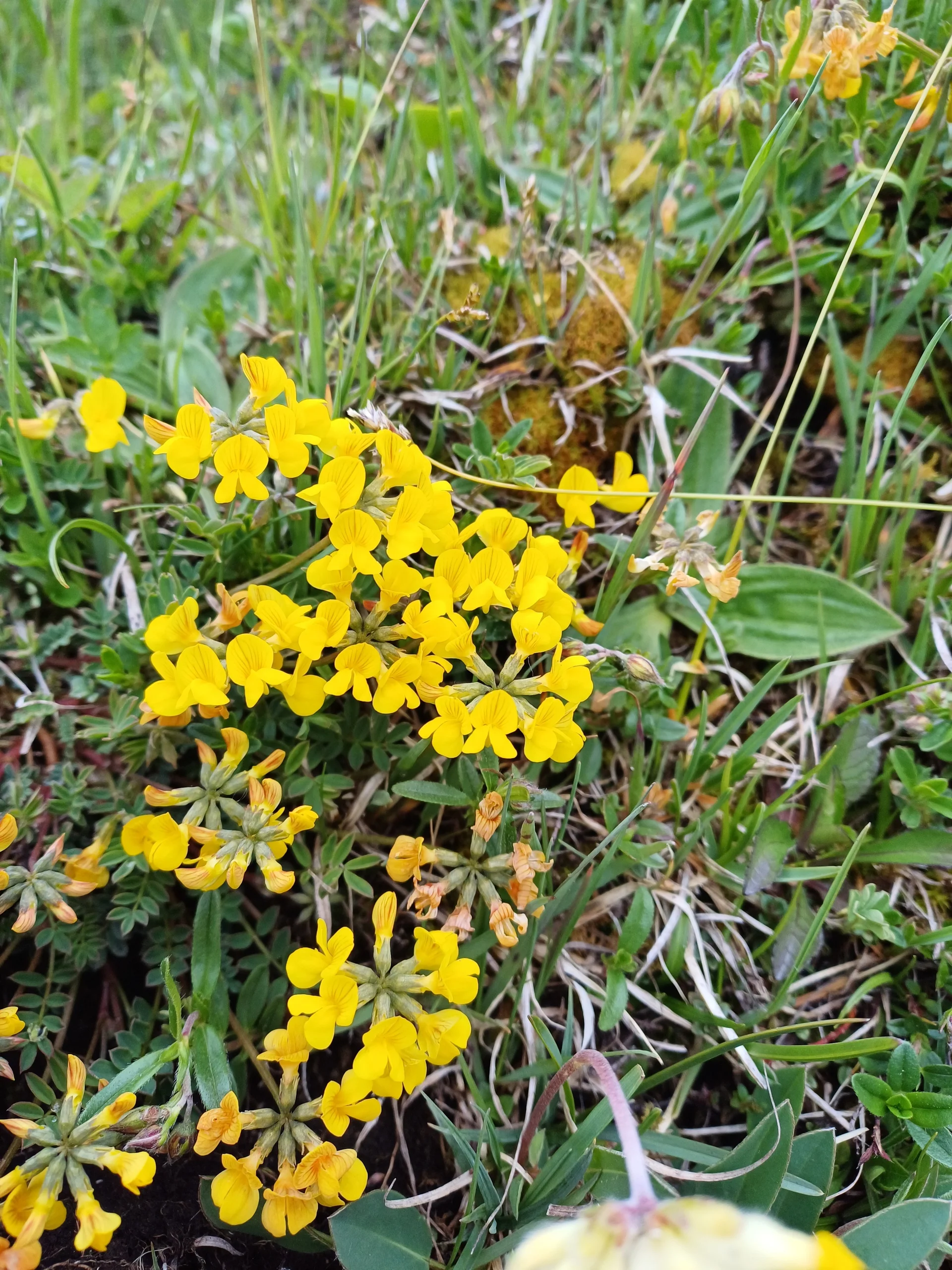 © DAV Sektion Rottal Neumarkt-St. Veit