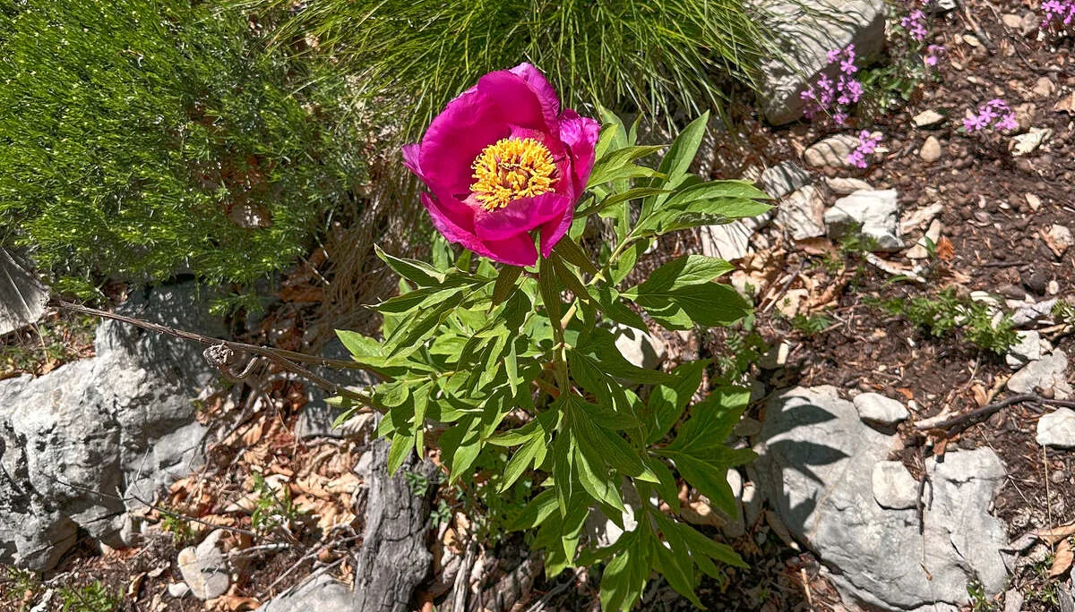 © DAV Sektion Rottal Neumarkt-St. Veit